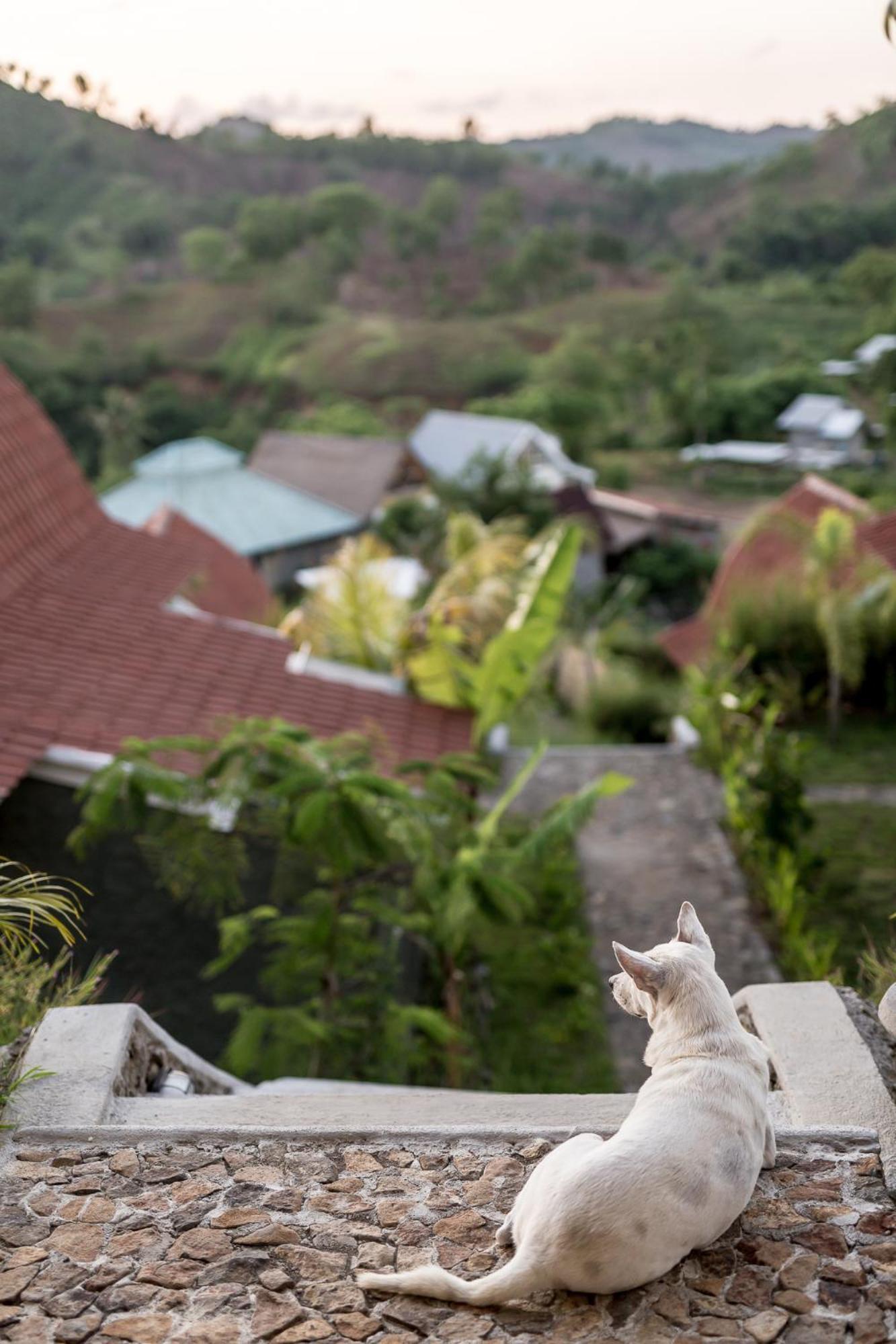 Drop In Surf Lodge Kuta  Eksteriør billede